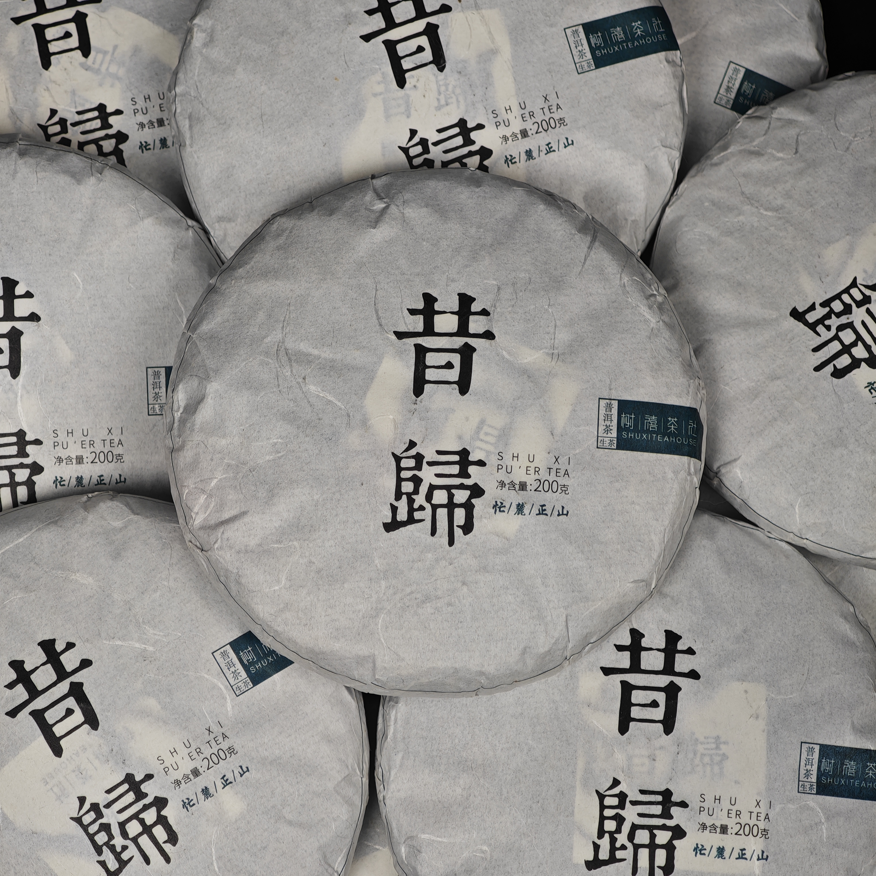 树禧昔归·云南临沧普洱生茶2024头春高端送礼茶气霸道手工杀青