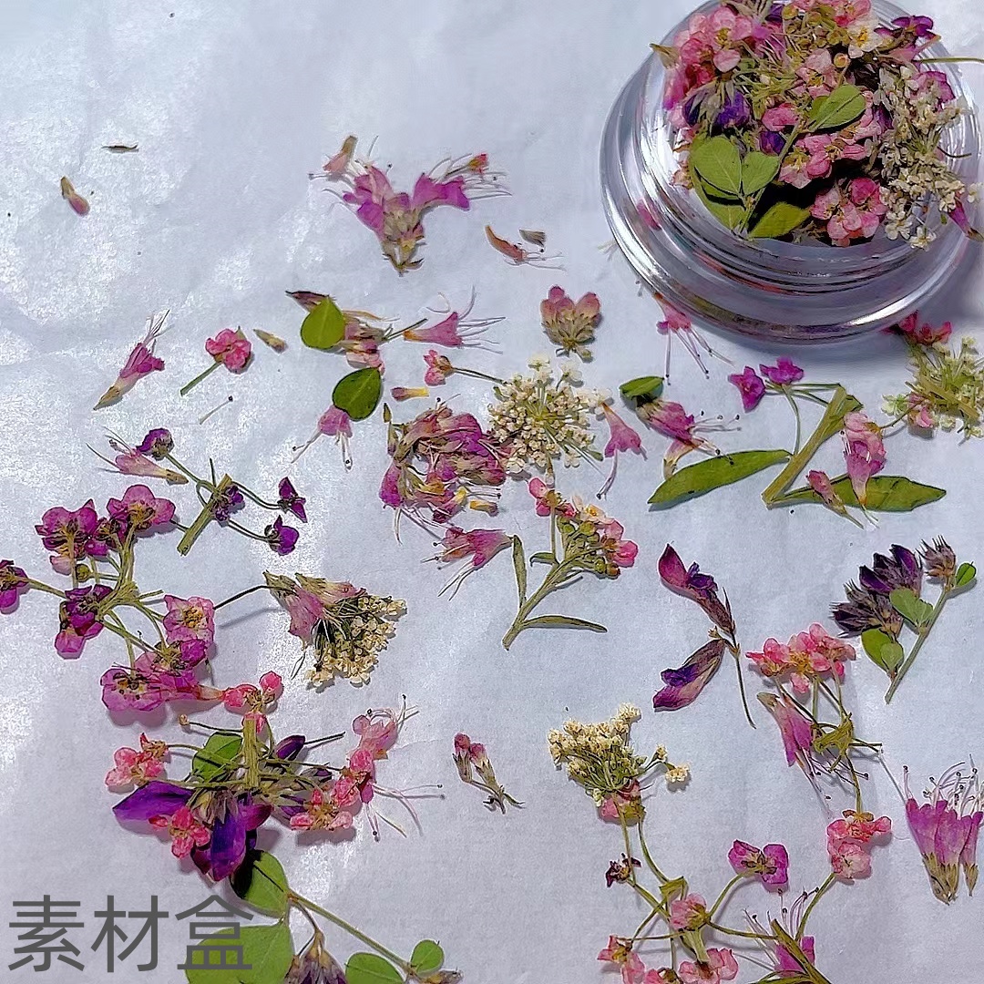 美甲干花饰品七夕优选高品美甲素材盒ins风夏日时尚美甲diy饰品