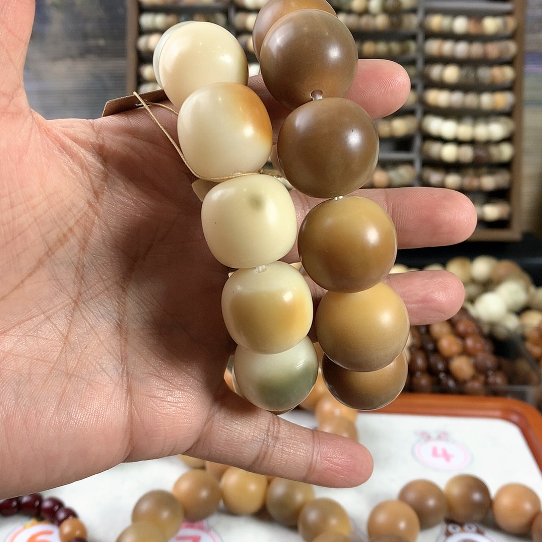 【闪购商品】菩提根/象牙果手串小**?