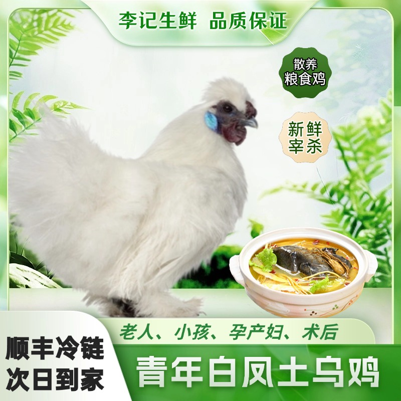 【次日达，2只装】今天拍明天到，源头农场园林散养正宗白凤土乌鸡*现杀现宰*冷链运输*保鲜到家