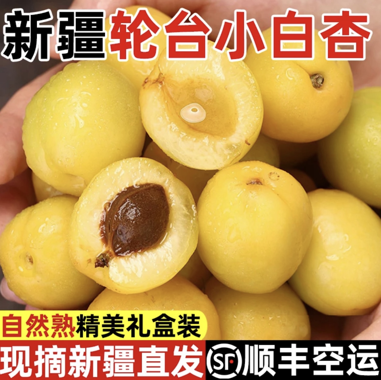 【顺丰包邮】正宗新疆轮台小白杏当季新鲜水果