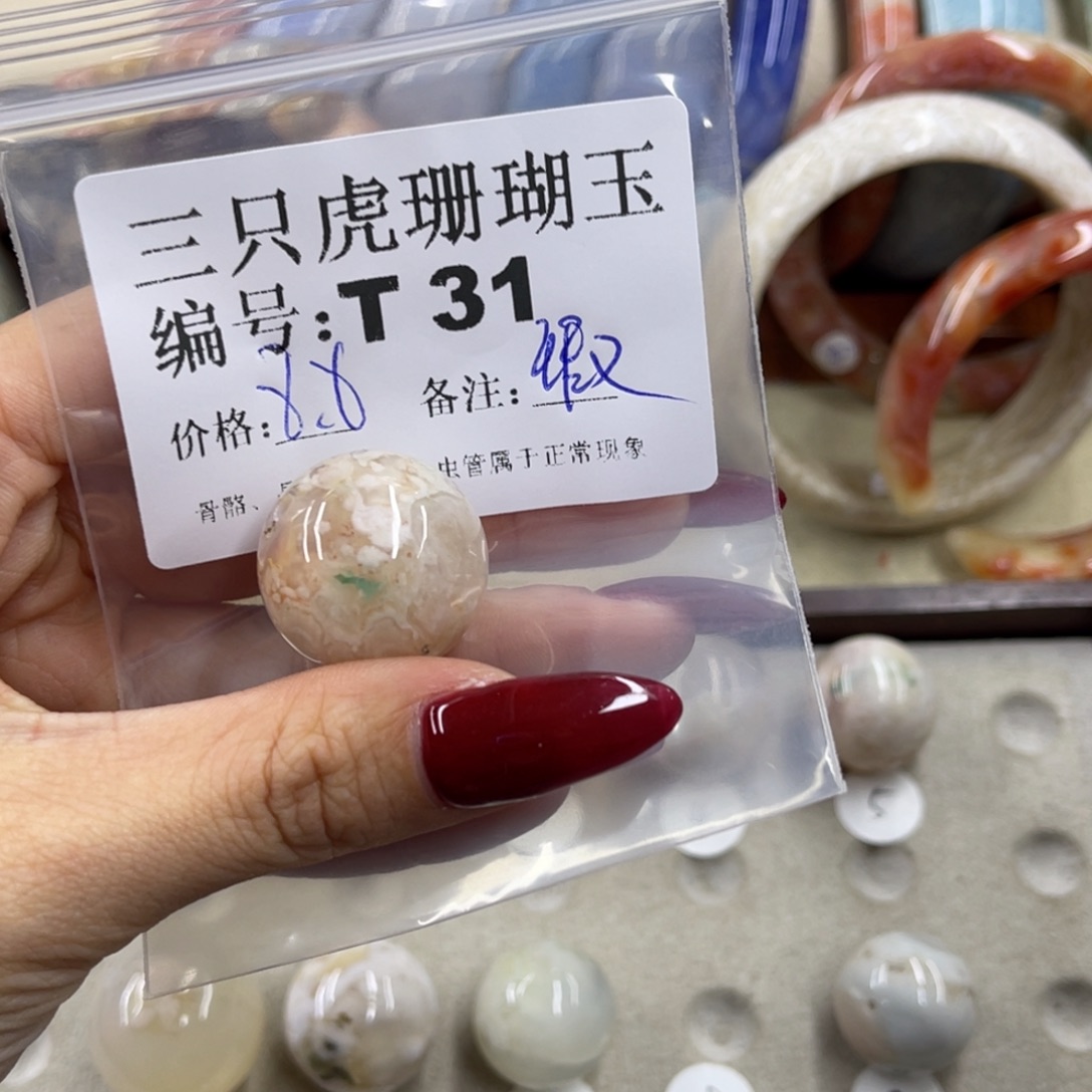 秋***鱼硅化珊瑚（珊瑚玉）未镶嵌h
