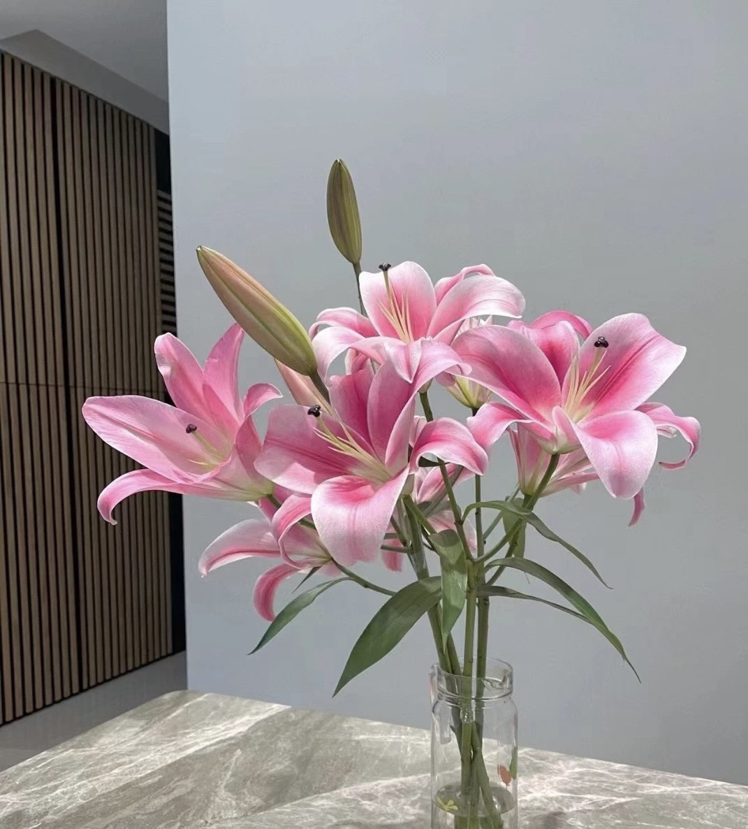 【小雨家AA级】普拉芬多香水百合花（拒收不售后）