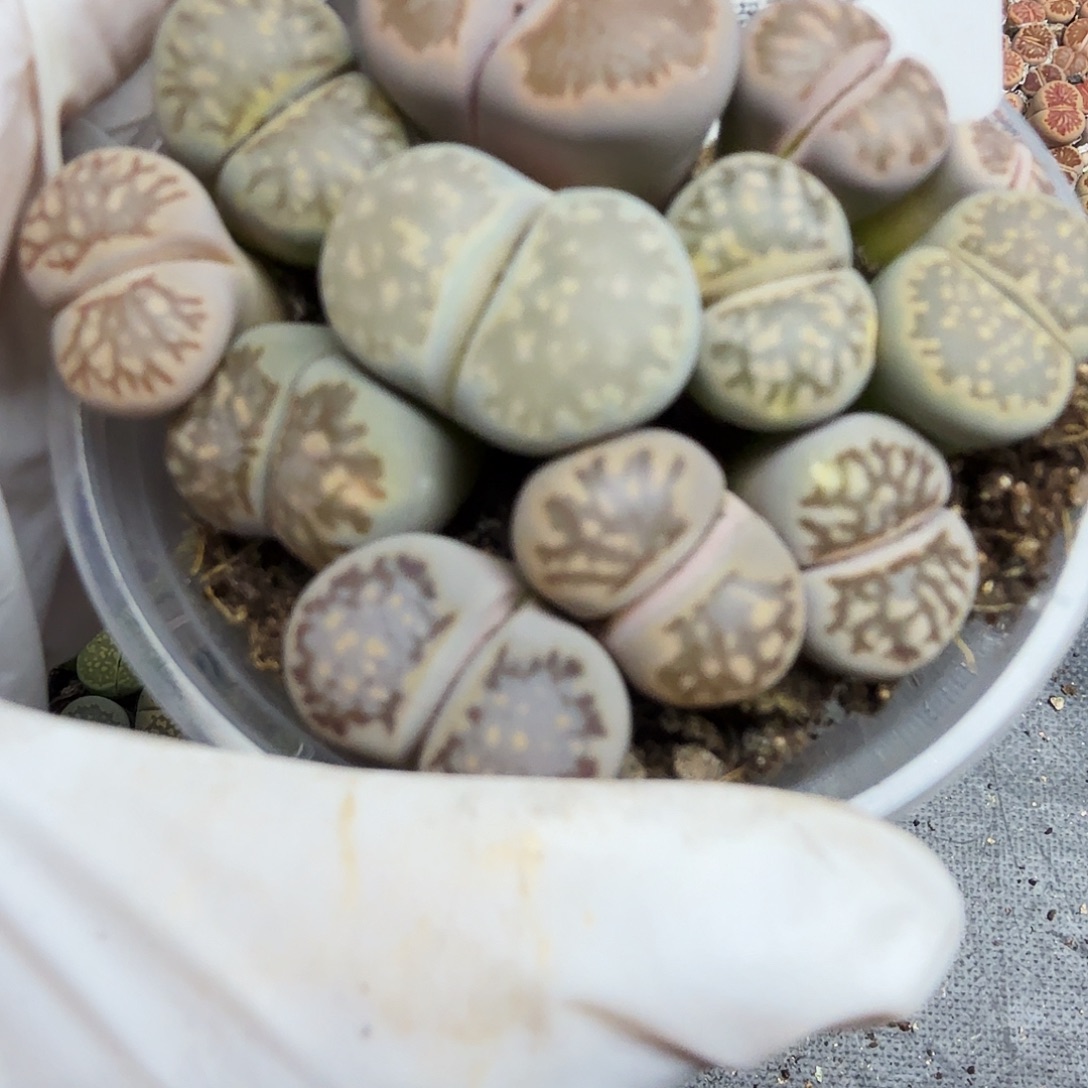 你不给别人的时间都没有317我