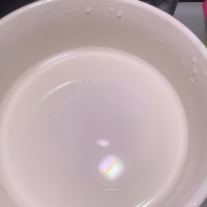 虎皮鱼黑影道人4条