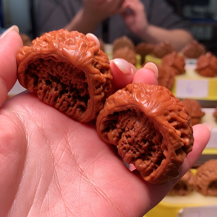 蛇头蛇头蛇头蛇头