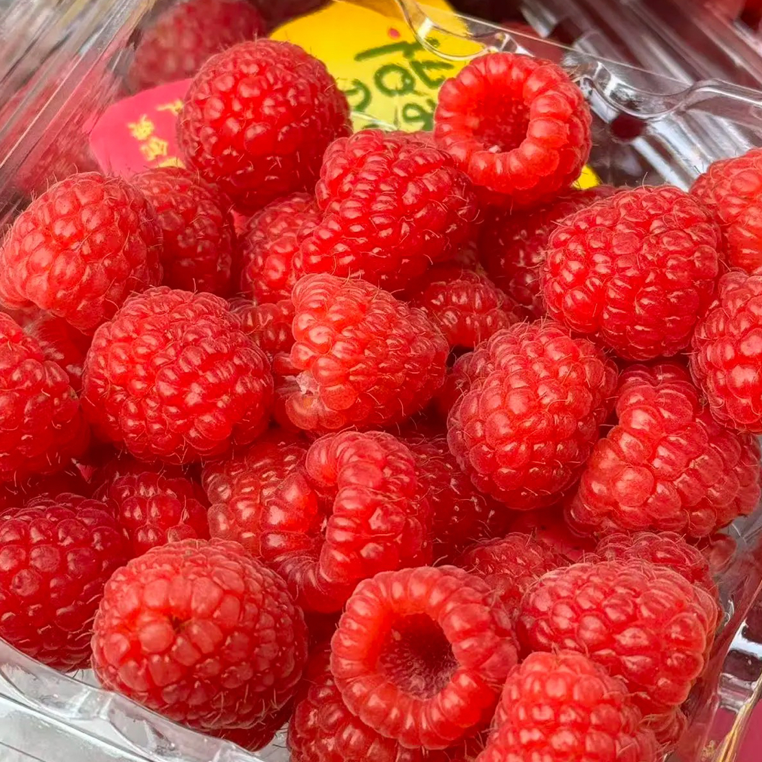 【V嘉精选】怡颗莓树莓两盒250g
