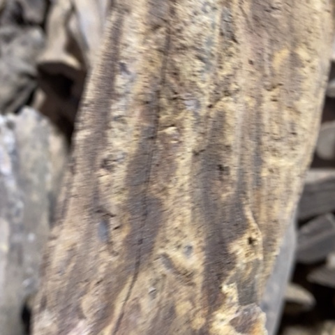 c***r贡木把件定制12365698889