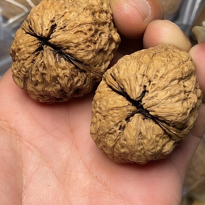 文玩核桃把件云南铁核桃59