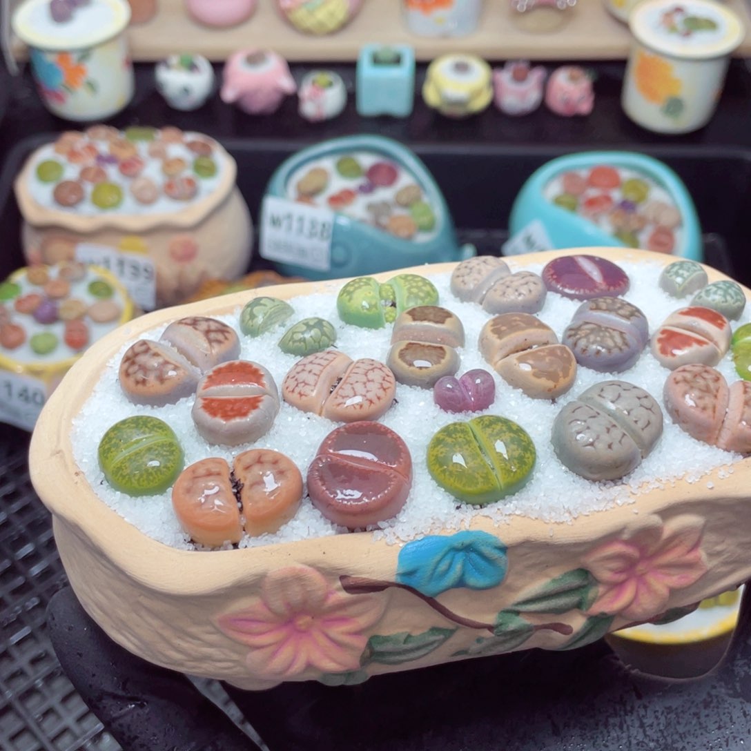 w1146--带盆土发货，零下地区拍保温箱