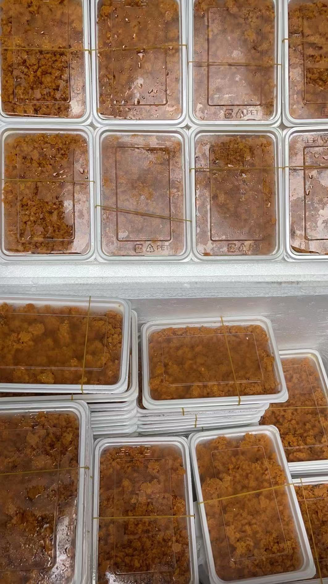 陆丰甲子特产 海胆炒饭 海胆蒸饭 熟海胆 健康美味  家庭必备