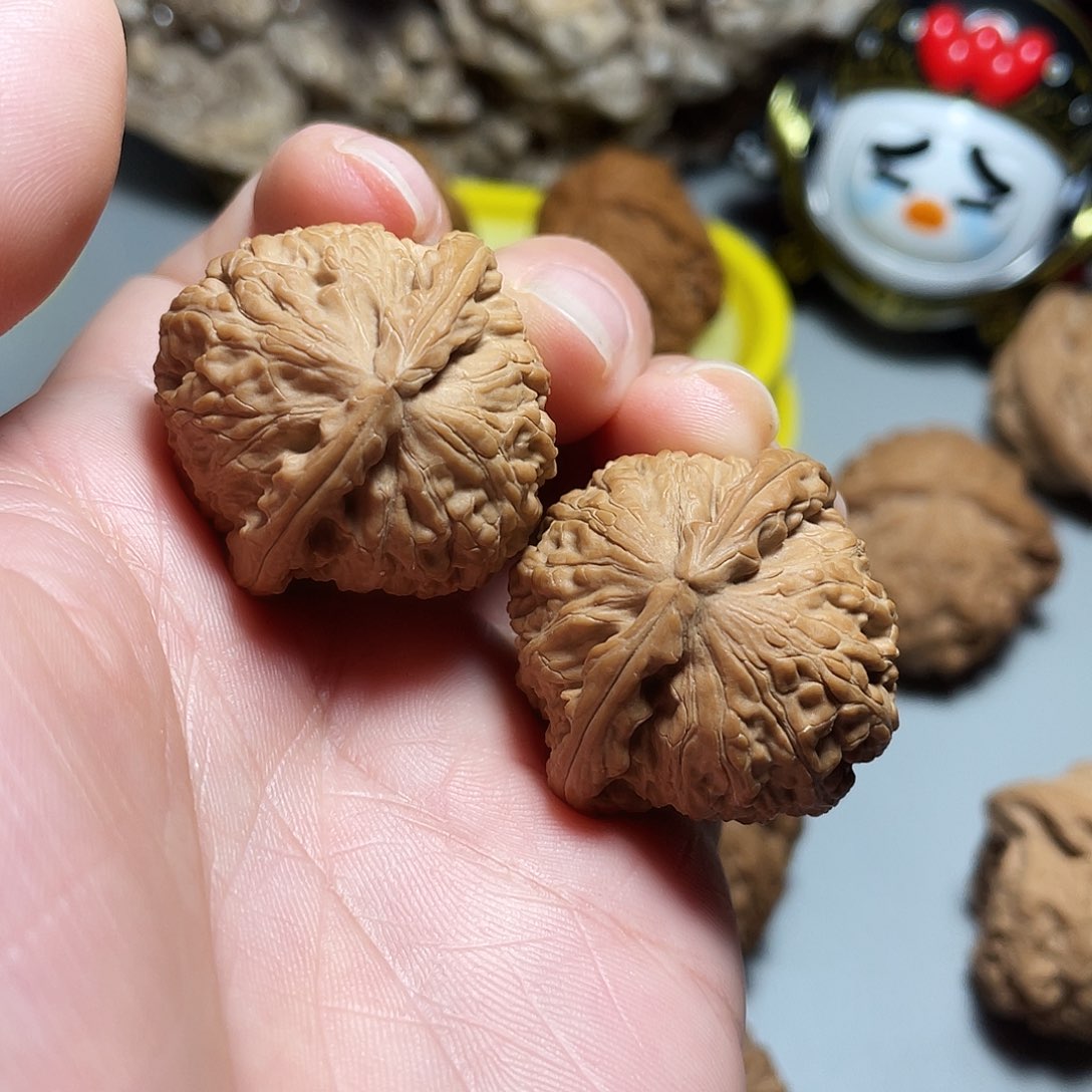 核桃手串/手链精品白狮子33