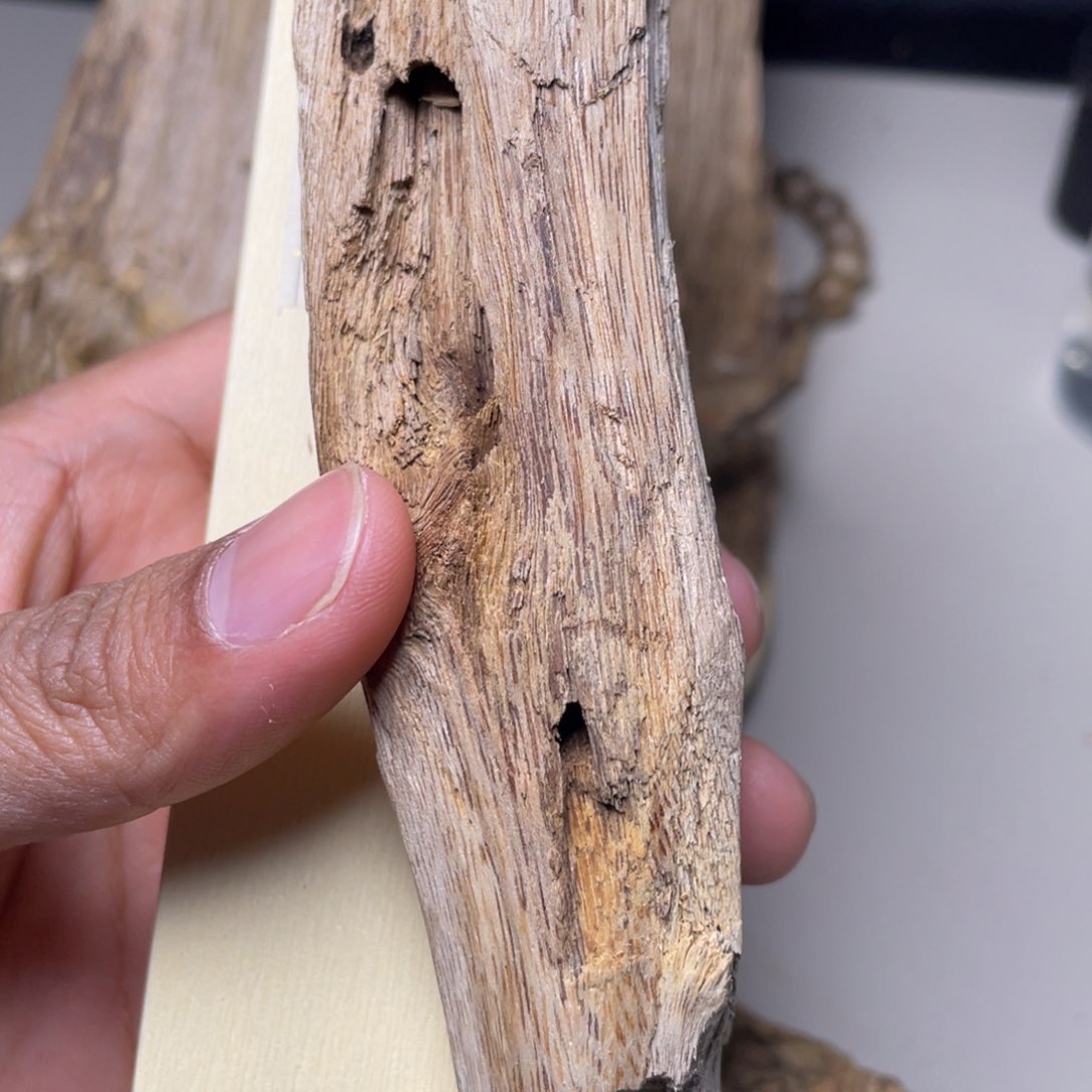 香榧木.***，海南竹木根雕木料100克