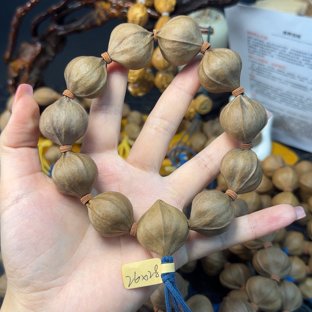 蔡***松木质类26-28四花橄榄核