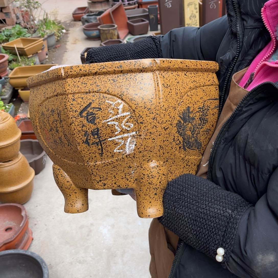 紫砂花盆盆景艺术