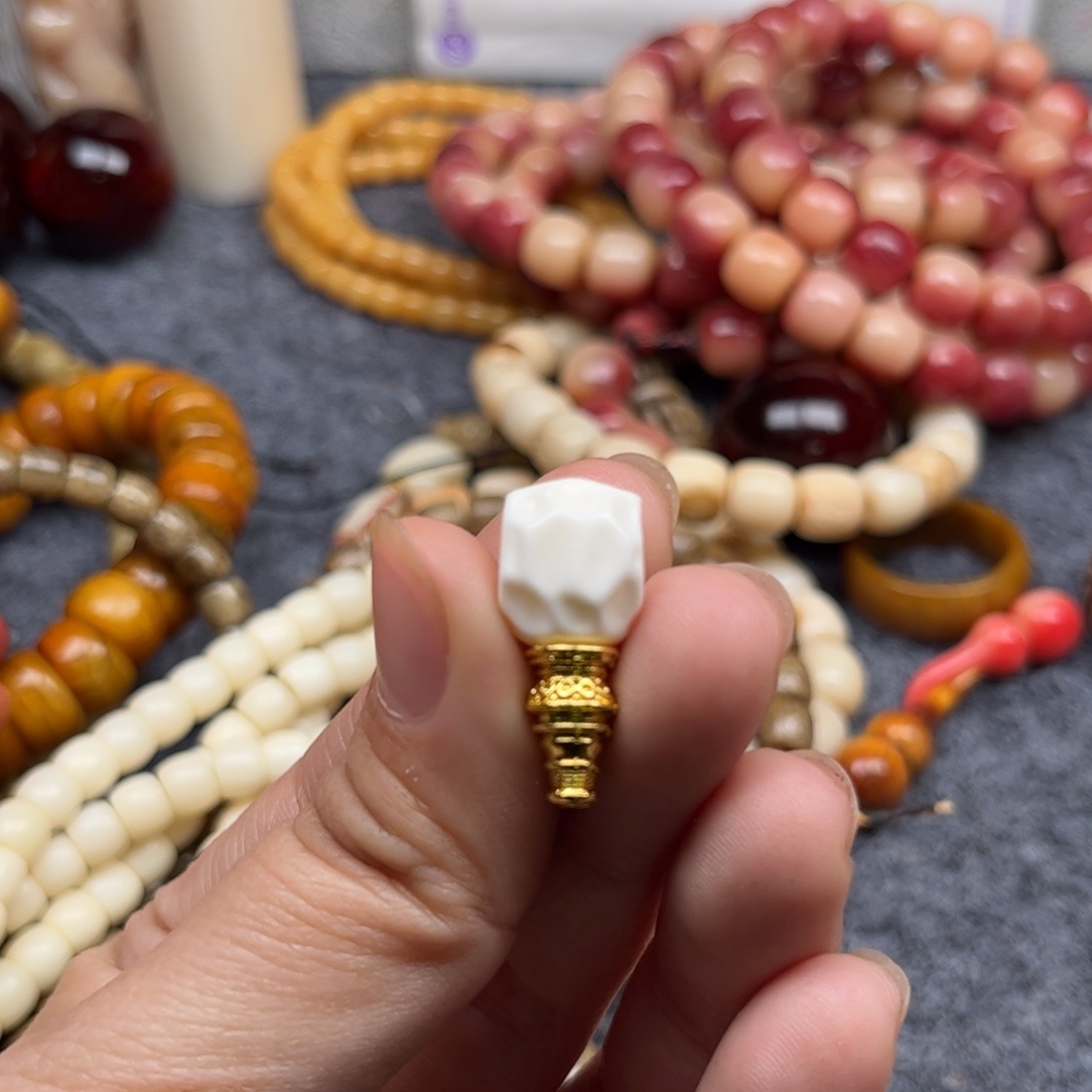 鹿骨其他人工养殖驼骨98