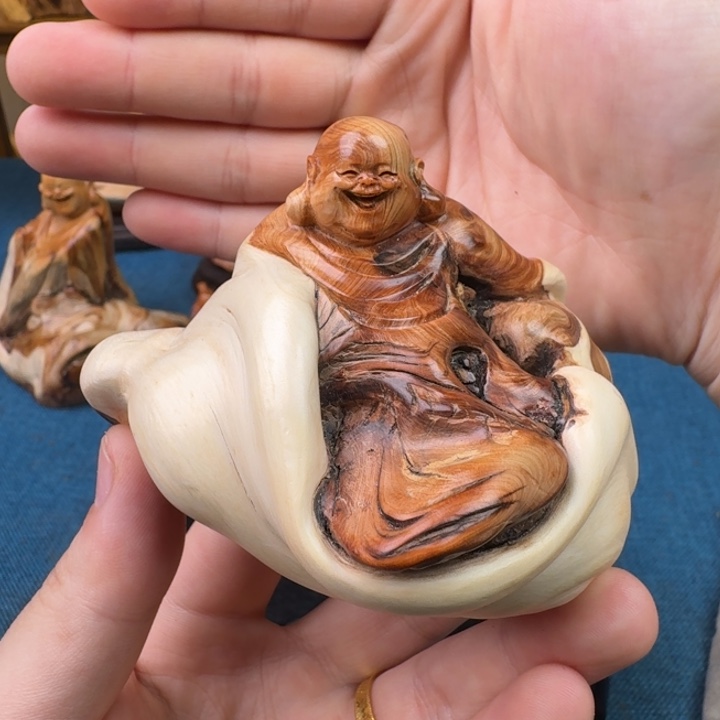 柏木（崖柏）关注一下