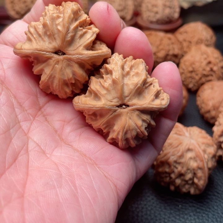 文玩核桃把件米*39全品盘龙虎头