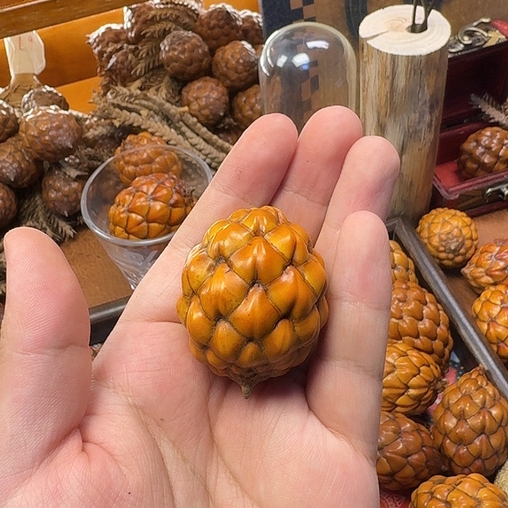 染***柒木柒姐专属39.8毫米粉酒椰