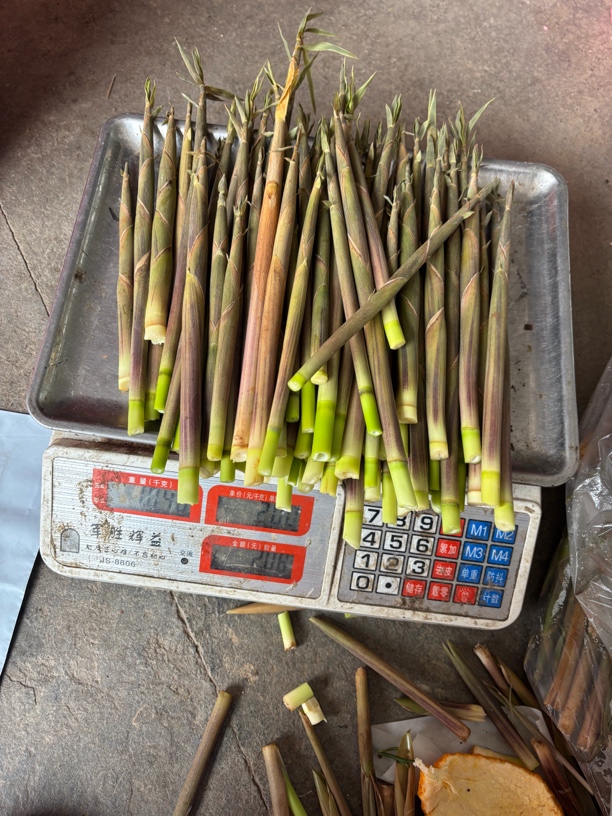 新鲜现挖小竹笋甜笋带壳脆嫩春笋自然生长手剥笋