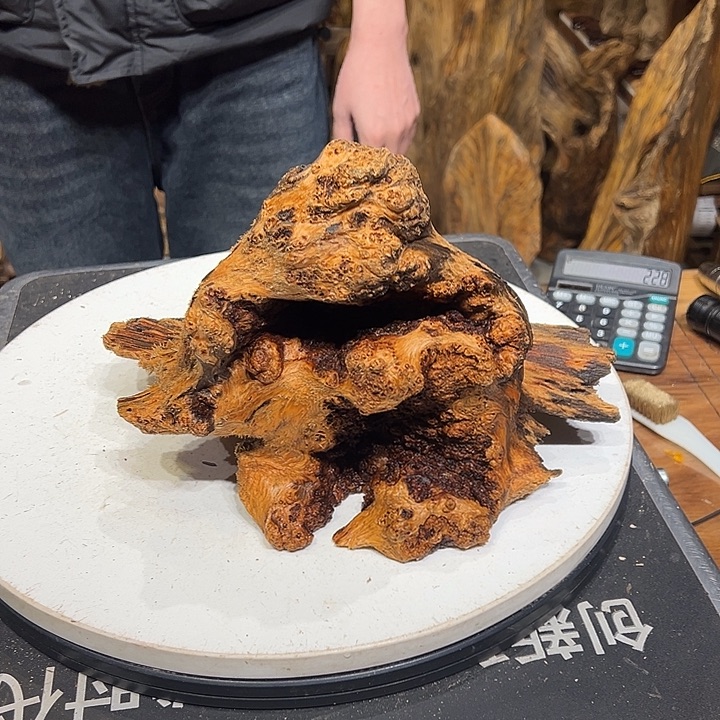 松木（琥珀木）声*界