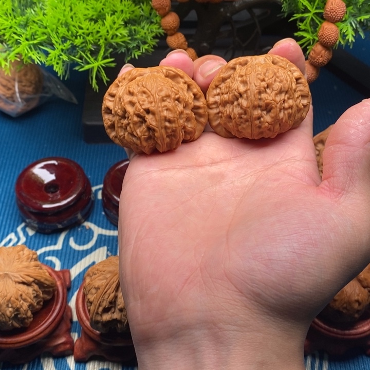 文玩核桃47尺闷白狮子头