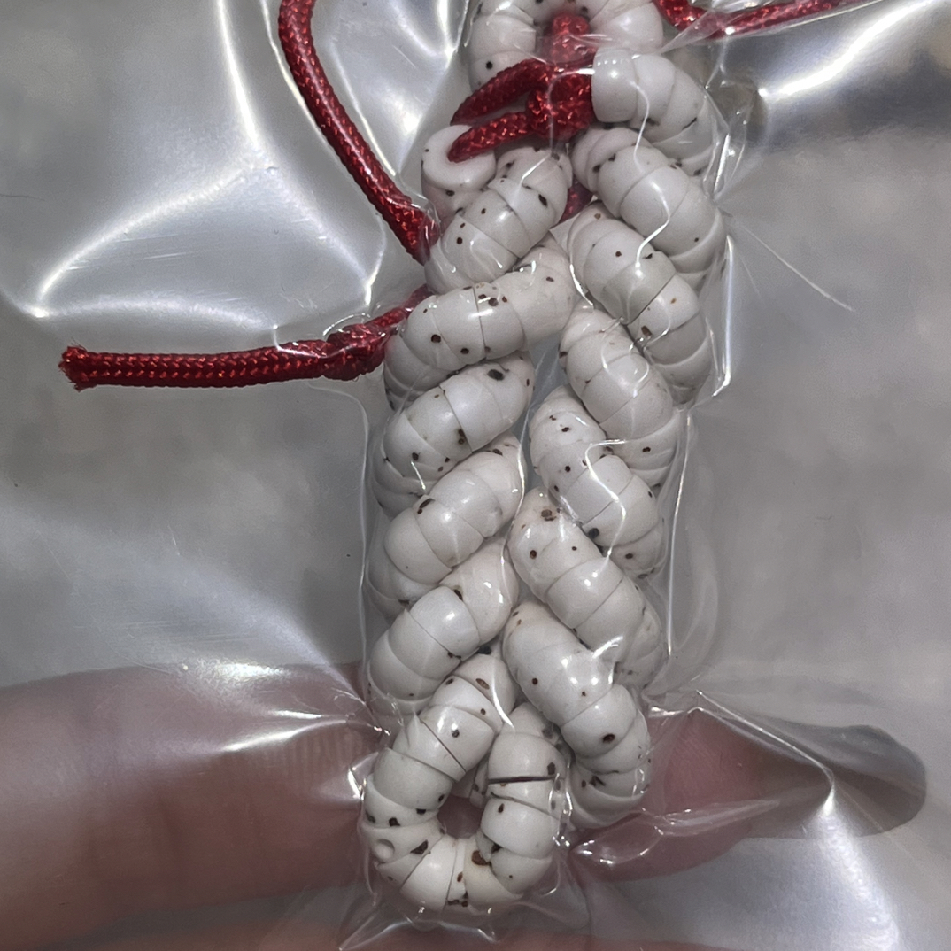 海南原生态原白5mm大肠无脱脂同枝果168颗