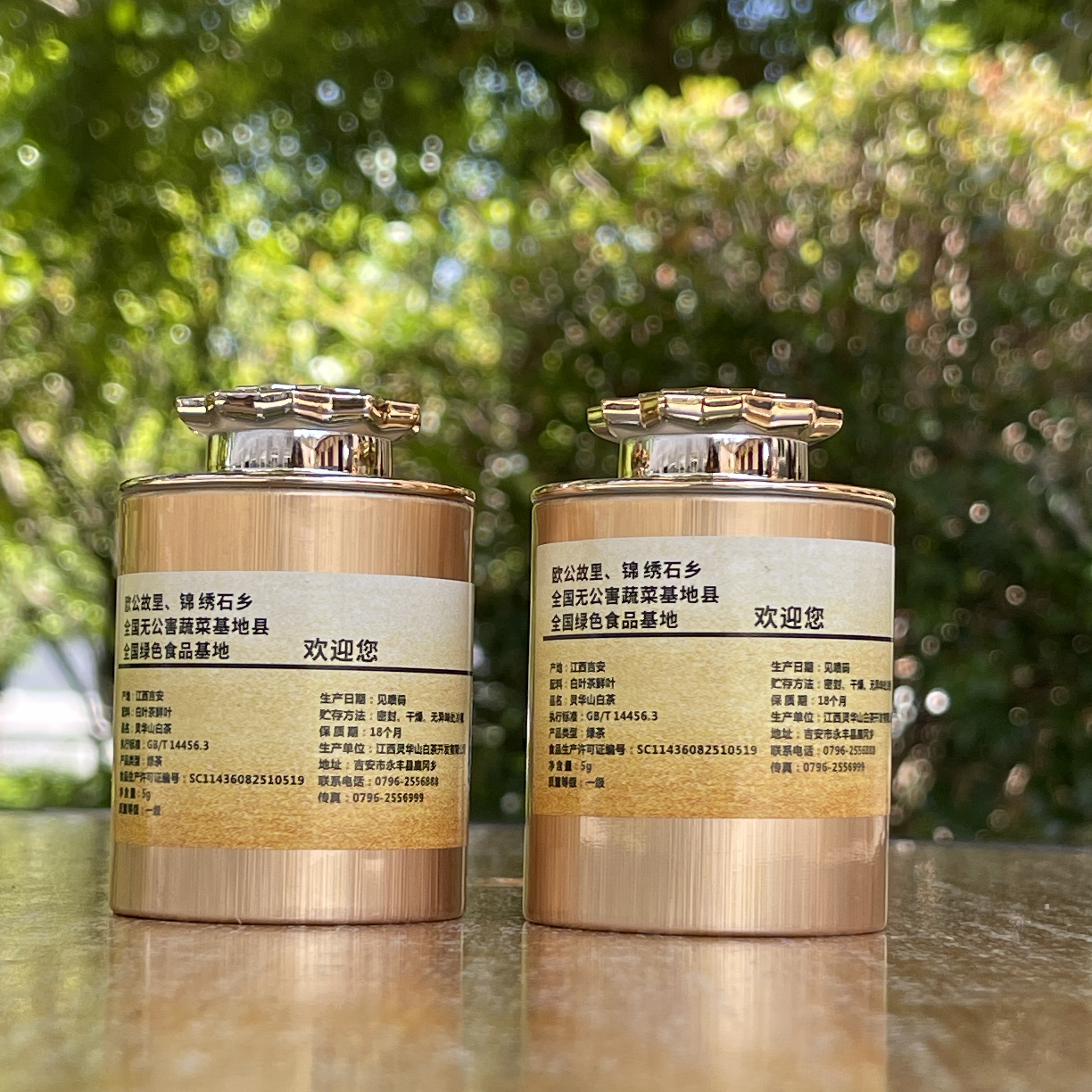 黄金芽小罐福利 灵华山黄金芽