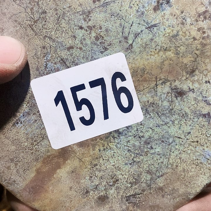 建*闪购活动活动活动1576