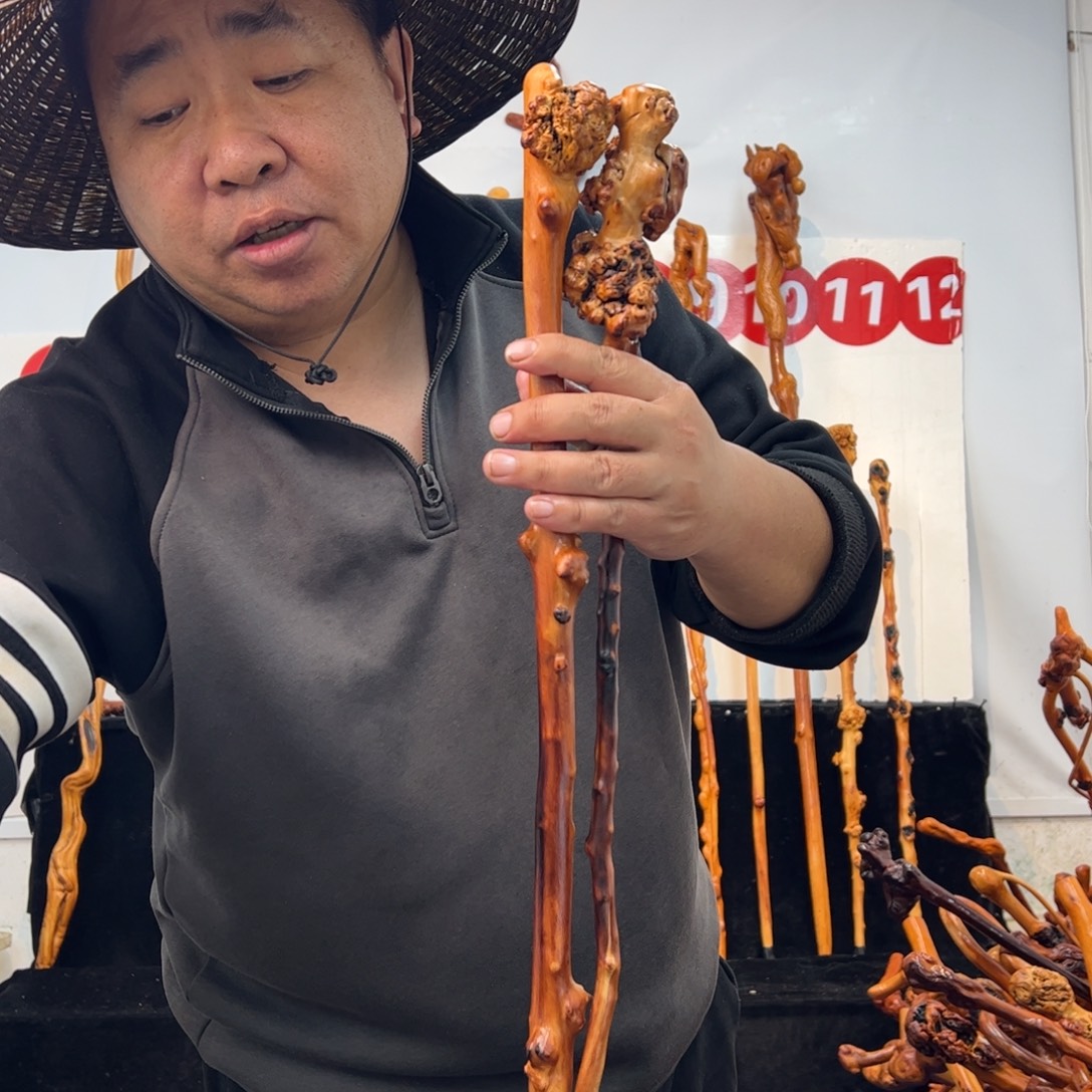 其他黑果木黑果木863