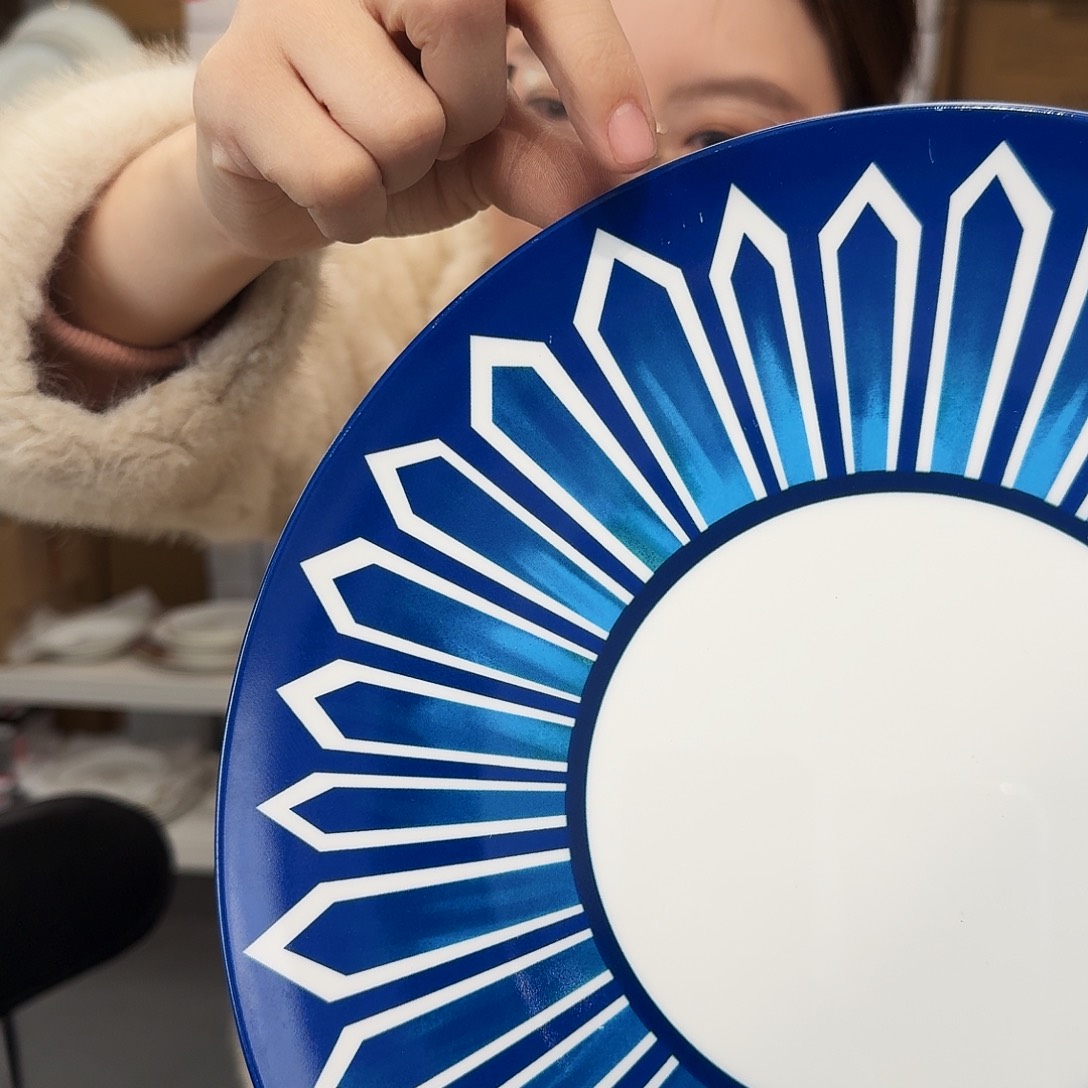 骨瓷高骨10.5英寸平盘27cm一个外贸骨瓷瑕疵品不忒不还 