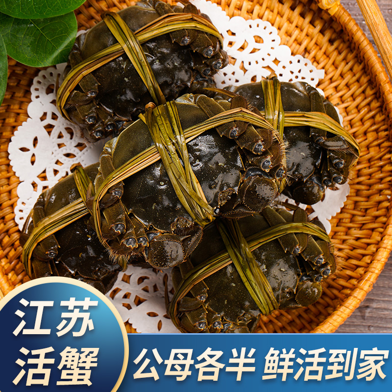 【活蟹】江苏大闸蟹公(4.0-3.7两)母(3.0-2.7两)6-10只 顺丰空运