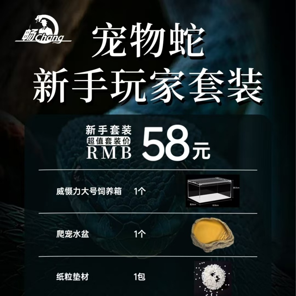 爬宠饲养套装爬宠入门必备套装