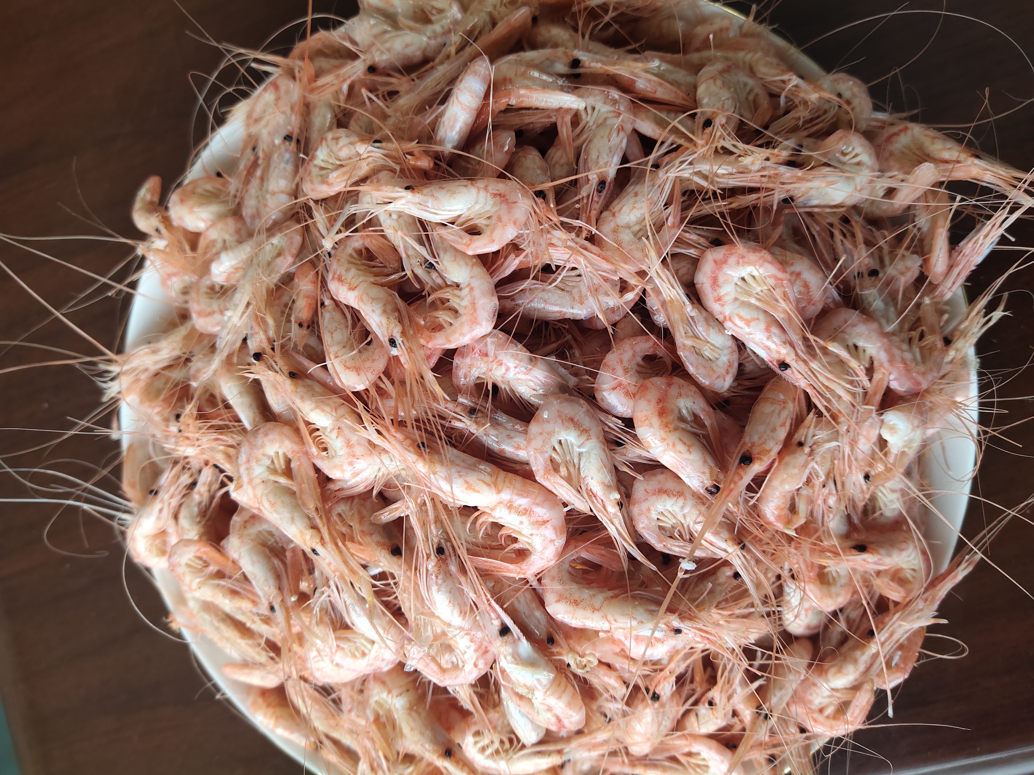 渤海湾 熟 小海虾