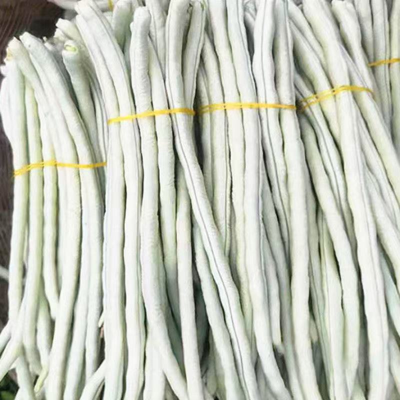 中通广西现摘白胖豆3斤5斤应季蔬菜