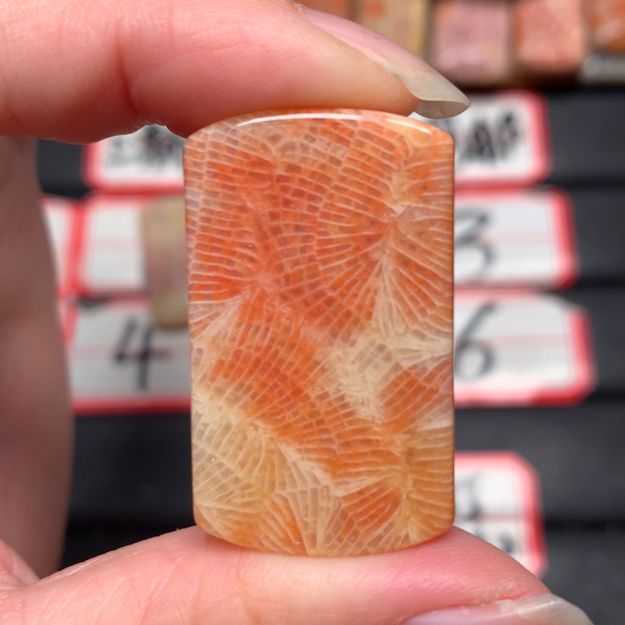 【闪购商品】未镶嵌颈饰硅化玉堇***y