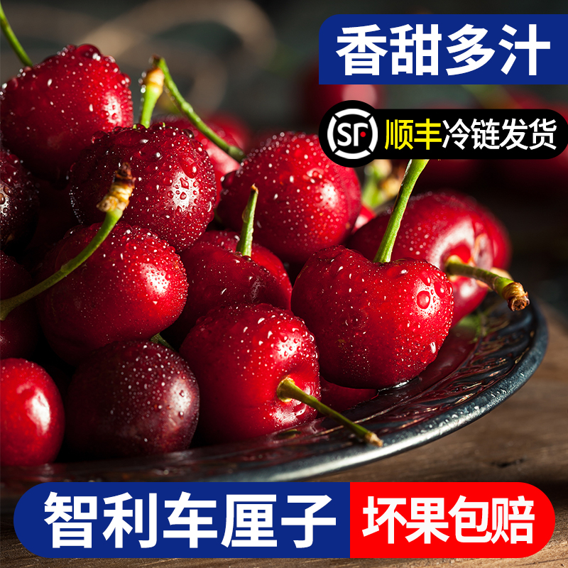 官旗【明天到】原箱3J5J4J车厘子桑提娜礼盒装5斤装新鲜应季水果多汁顺丰空运内附果径卡桑提娜樱桃智利共和国