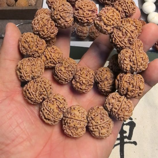 金刚菩提手串六瓣大金刚手串，23左右尺寸，原皮原色