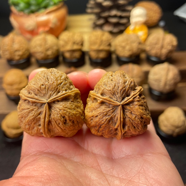 35尺寸  铁三角（云南铁核桃一物一图产地直发）