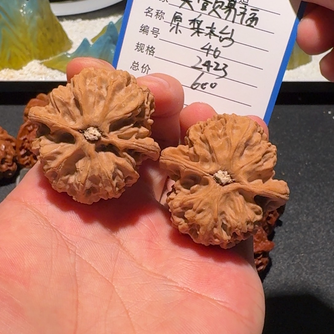 天***福原树梨木台编号2423