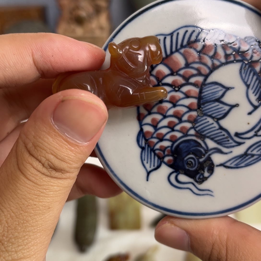 瓷片瓷器888888888888888
