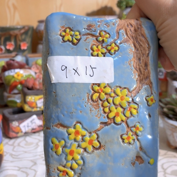 多肉花盆15包邮爱退款拉黑