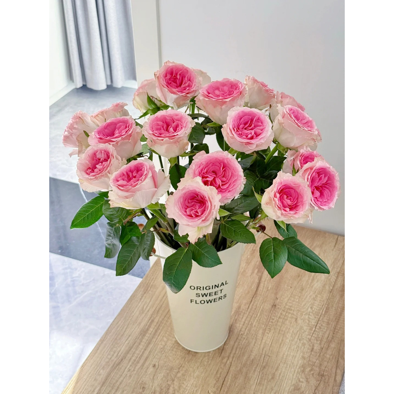 【清新花卉】洛神玫瑰   一单包邮 云南鲜花昆明基地现采现发