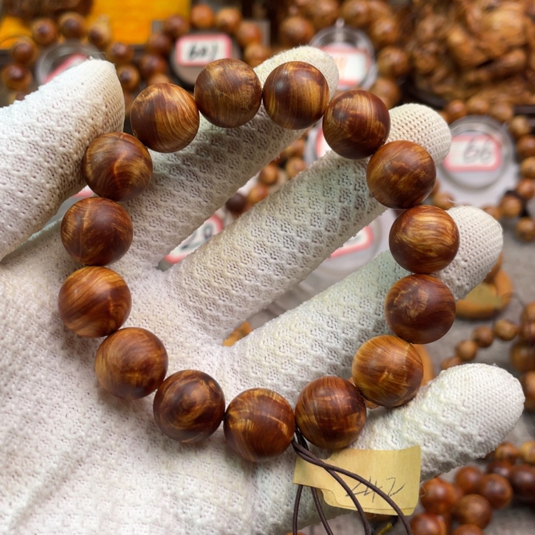 九***月柏木（崖柏）1.5闪电龙胆