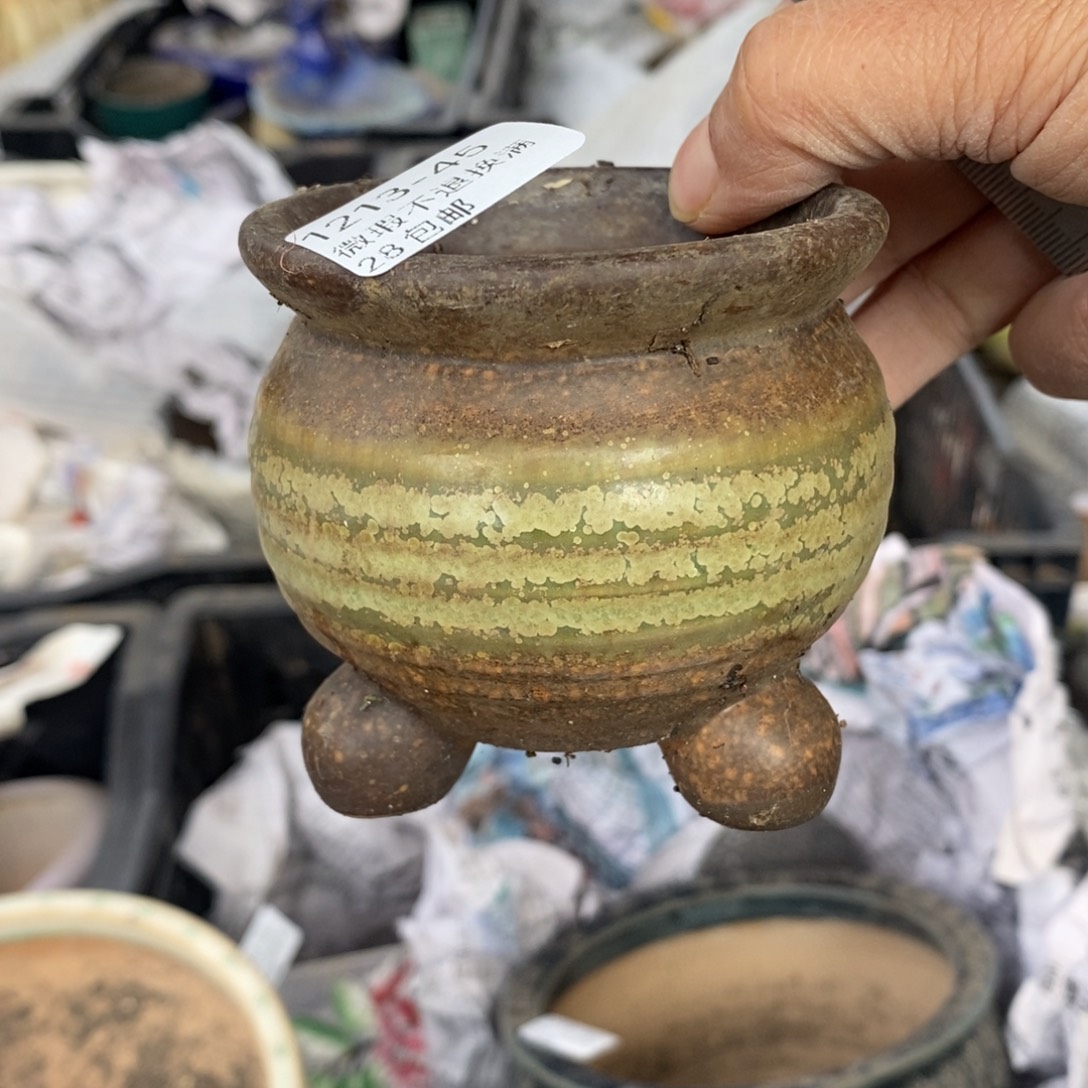 45号多肉盆口径6小可爱