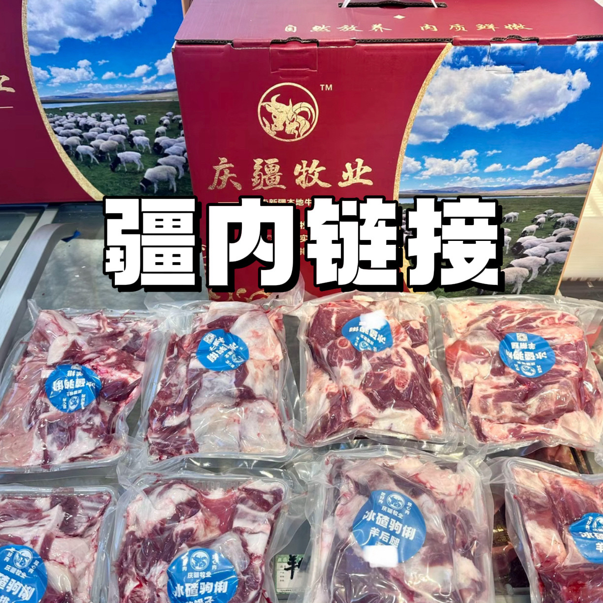 庆疆牧业｜新疆冰碴驹俐羊/疆内顺丰包邮