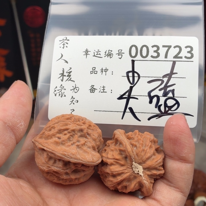 文玩核桃吊坠追龙