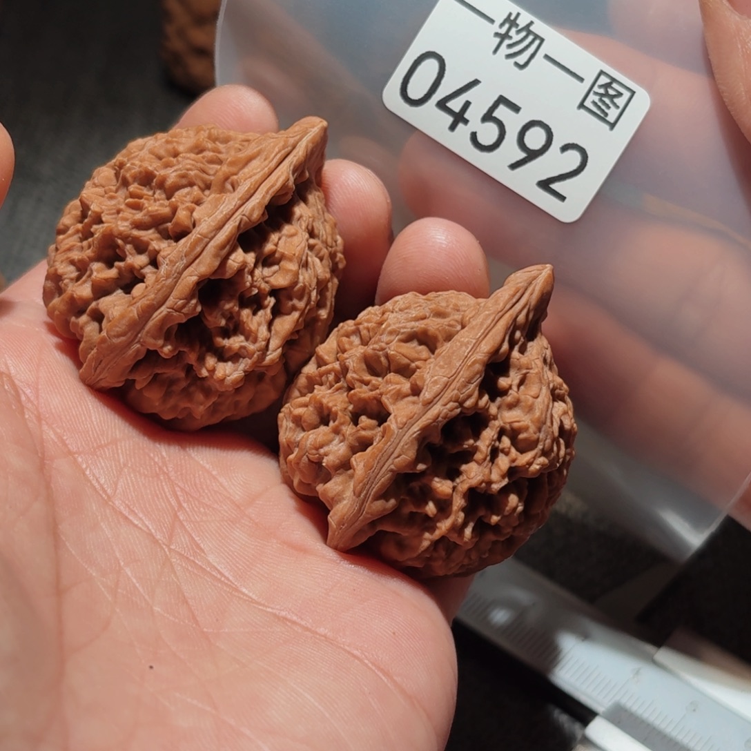 文玩核桃把件蚂蚁王
