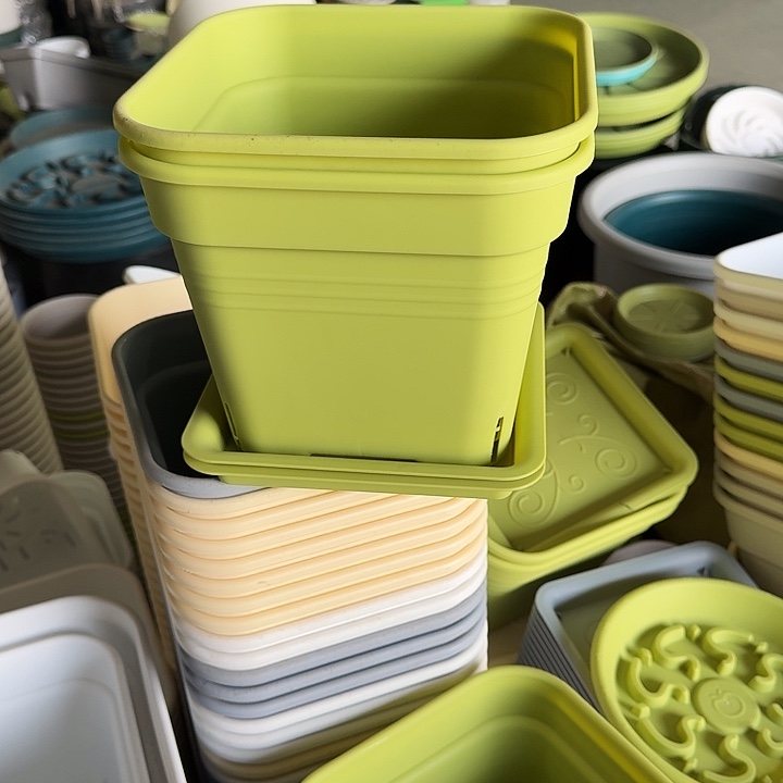 新款方21果绿5个带托