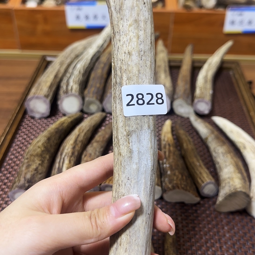 手串/手链鹿骨角尖2828